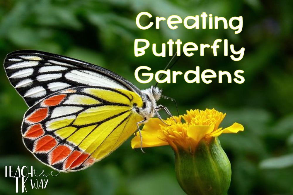 Create a Butterfly Garden